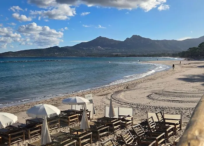 Avec Jardinet A 2 Min A Pieds De La Appartement *