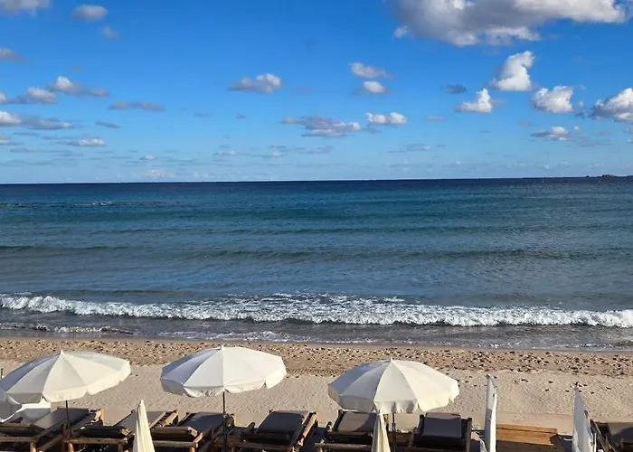 Apartment Avec Jardinet A 2 Min A Pieds De La Calvi (Corsica)