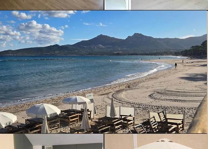 Avec Jardinet A 2 Min A Pieds De La Calvi (Corsica)